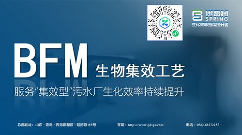 思普润BFM生物集效工艺,服务 集效型污水厂 生化效率持续提升